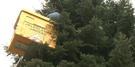 Debrecen karácsonyfája