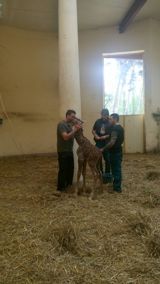 12970258_10154014801951590_1890129332_o