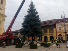 Debrecen karácsonyfája