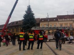 Debrecen karácsonyfája