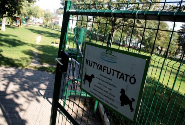 Kutyafuttató debrecenben