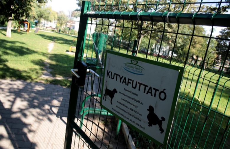 Kutyafuttató debrecenben