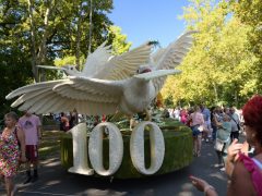 Debreceni virágkarnevál 2021