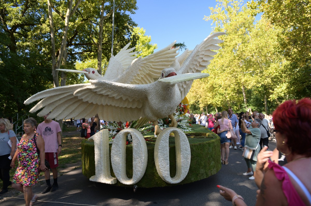 Debreceni virágkarnevál 2021