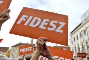 Fidesz-szimpatizánsok, Fidesz-szavazók