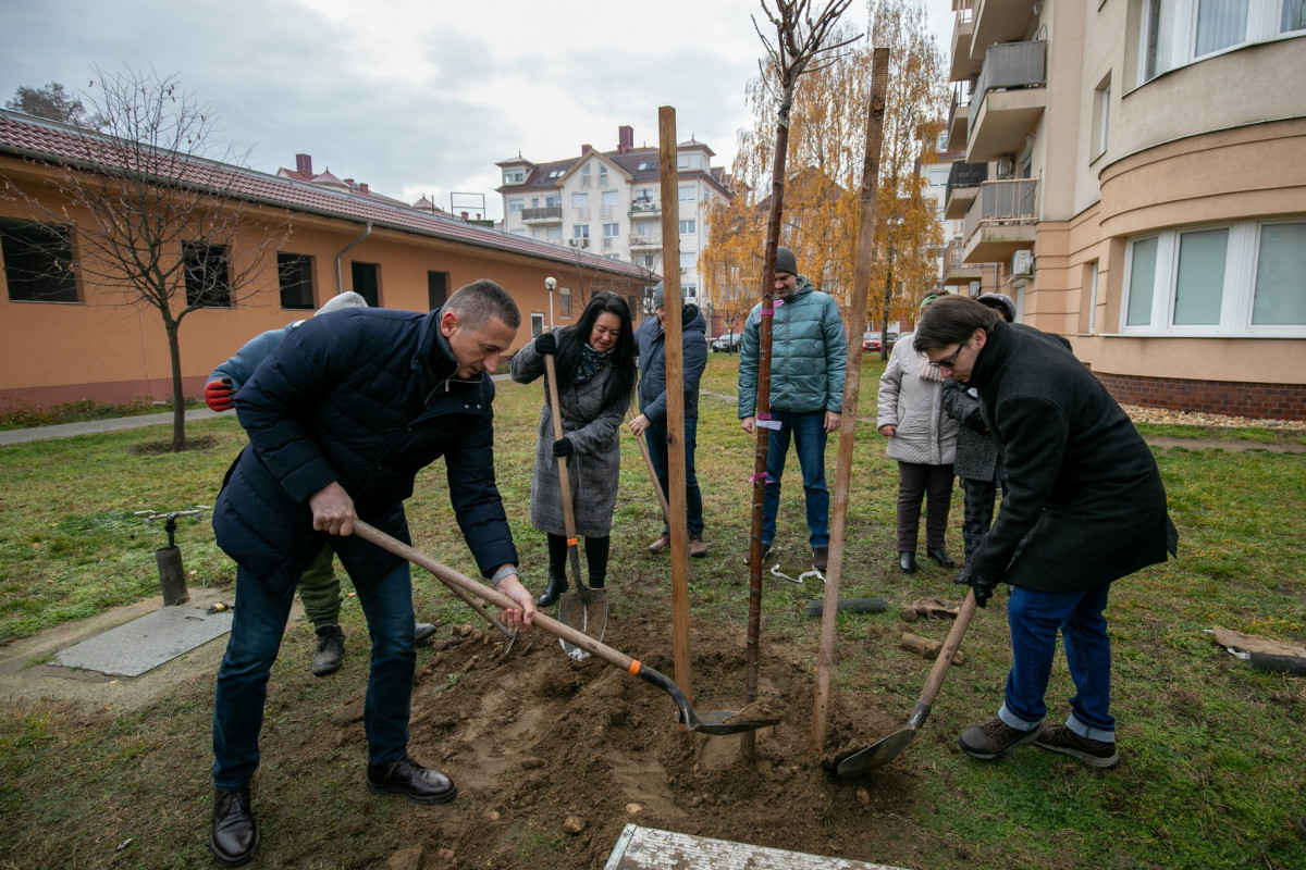 A városban a korábban meghirdetett 10 000 fát Debrecenbe program folytatódott a Füredi Kapunál , ahol politikai nyilatkozatok és pózok segítik a növények számának gyarapodását.