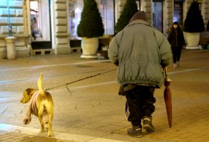 Szeged, hajléktalan, kutya, szegénység
