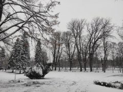 Tél a Nagyerdőn Debrecenben