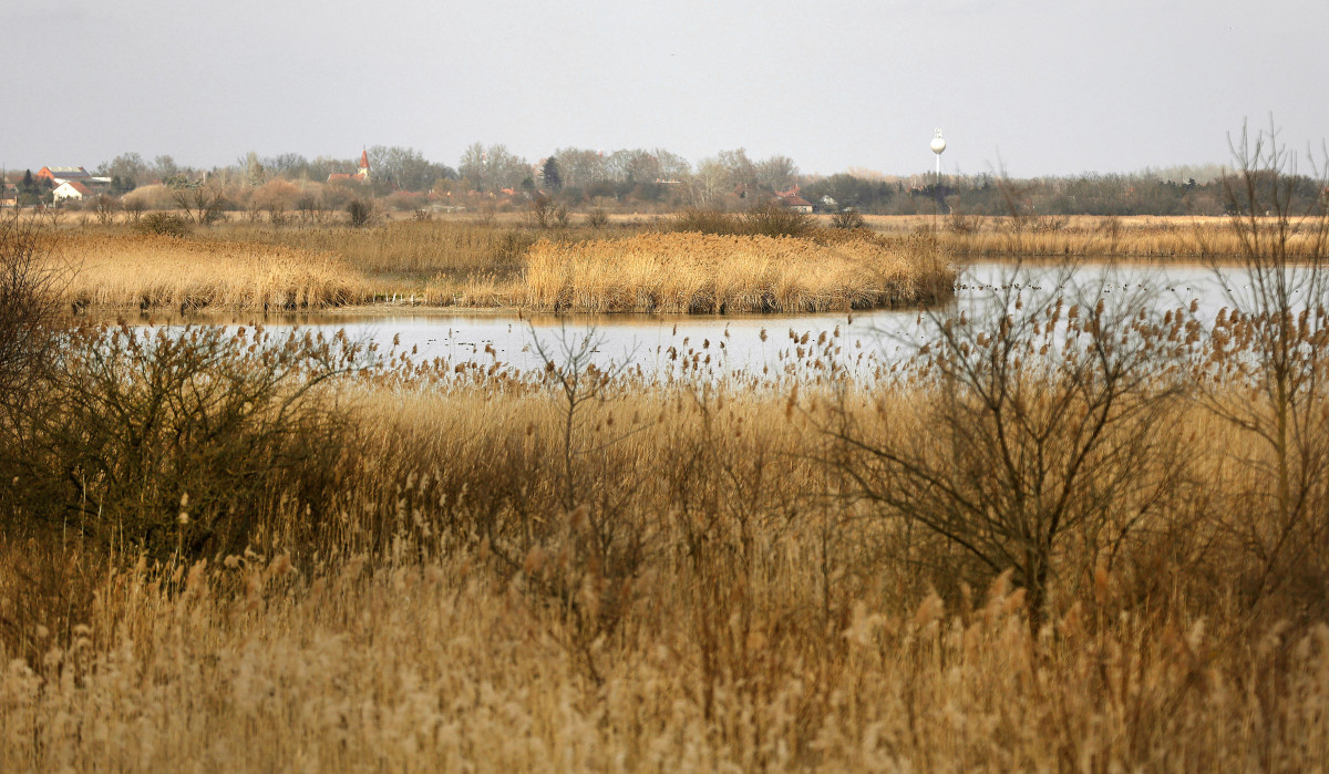 Pusztaszeri Tájvédelmi Körzet, Fehér-tó, természet, túra, kirándulás