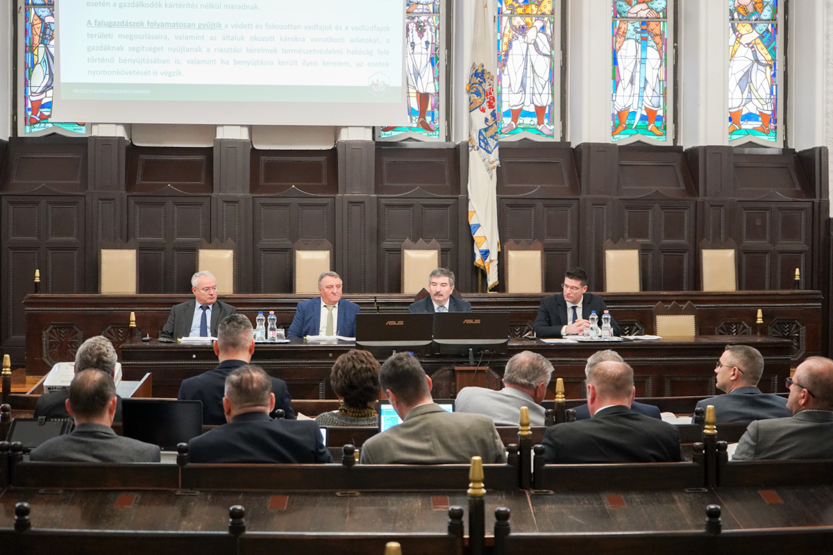 Hajdú-Bihar megyei önkormányzat