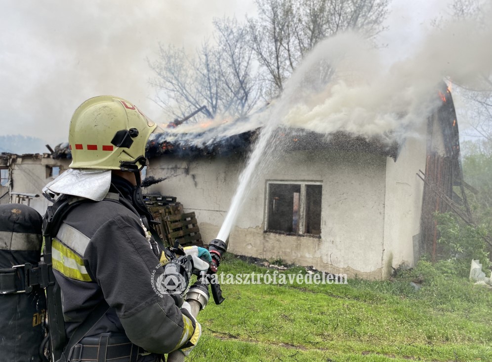 Két marha égett bennt a lángoló hodályban Debrecennél