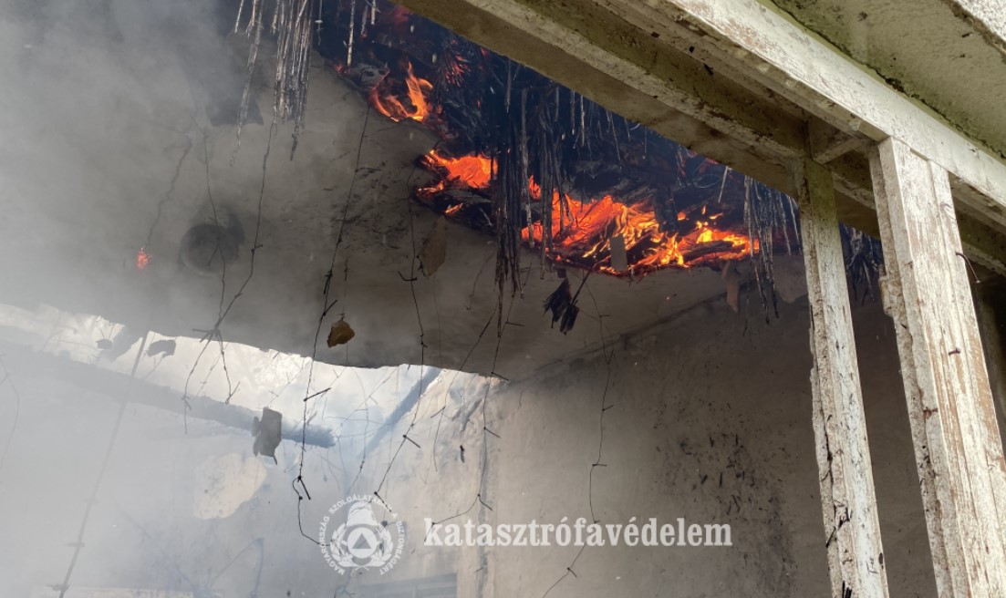 Két marha égett bennt a lángoló hodályban Debrecennél
