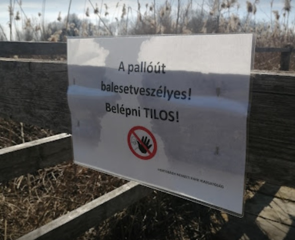 Szétrohadt Daru-láp tanösvény