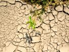 Aszály, száraz talaj