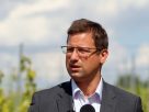 Gulyás Gergely Tarcal dűlőút