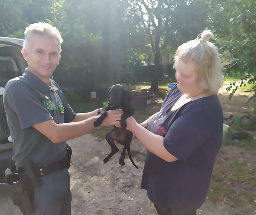 Tacskómentés Hajdú-Bihar