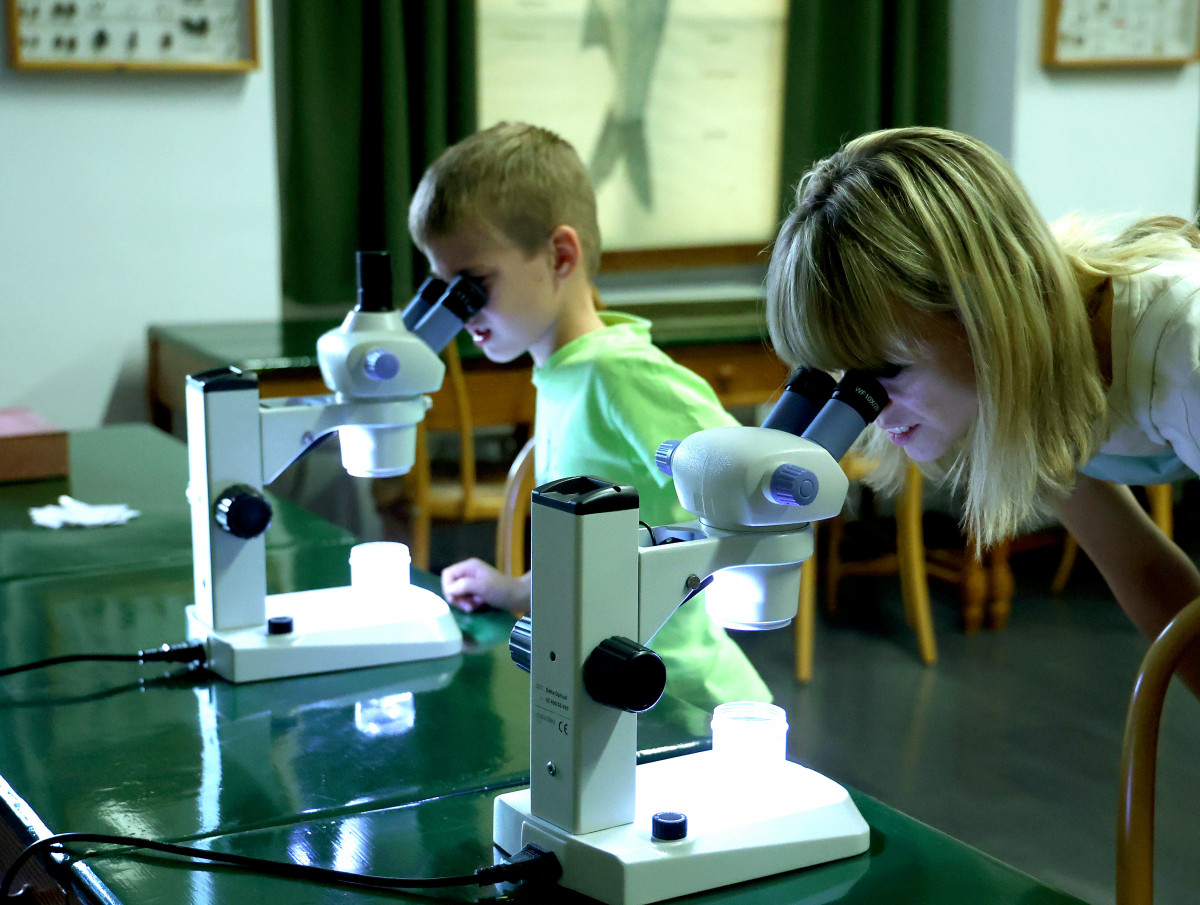 Szeged, Kutatók Éjszakája, SZTE, oktatás, kísérlet, egyetem, természettudomány, bemutató