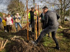 Papp László faültetés