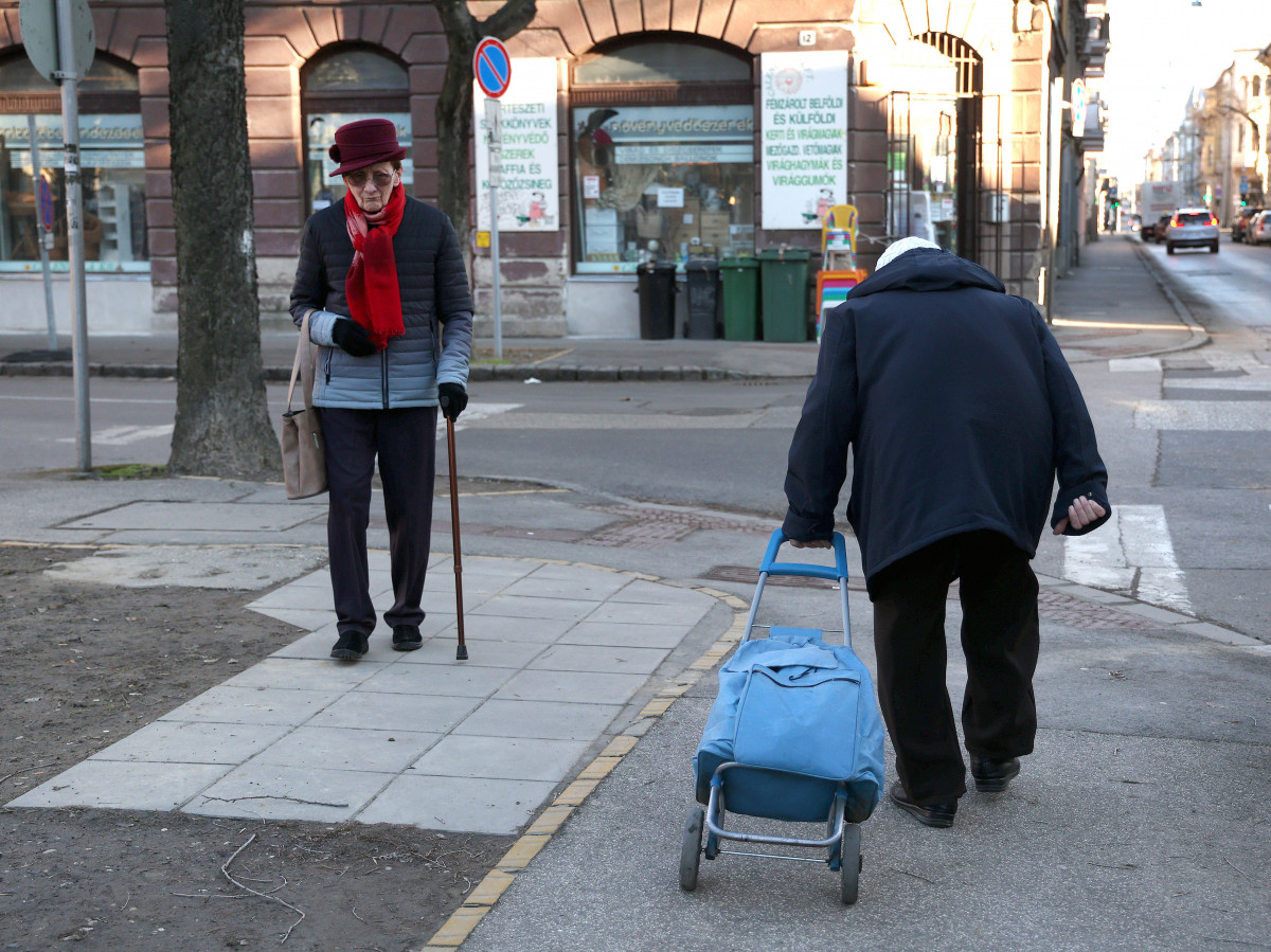 Szeged, idős, nyugdíjas, bevásárlás