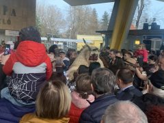 Busójárás Hajdúszoboszlón