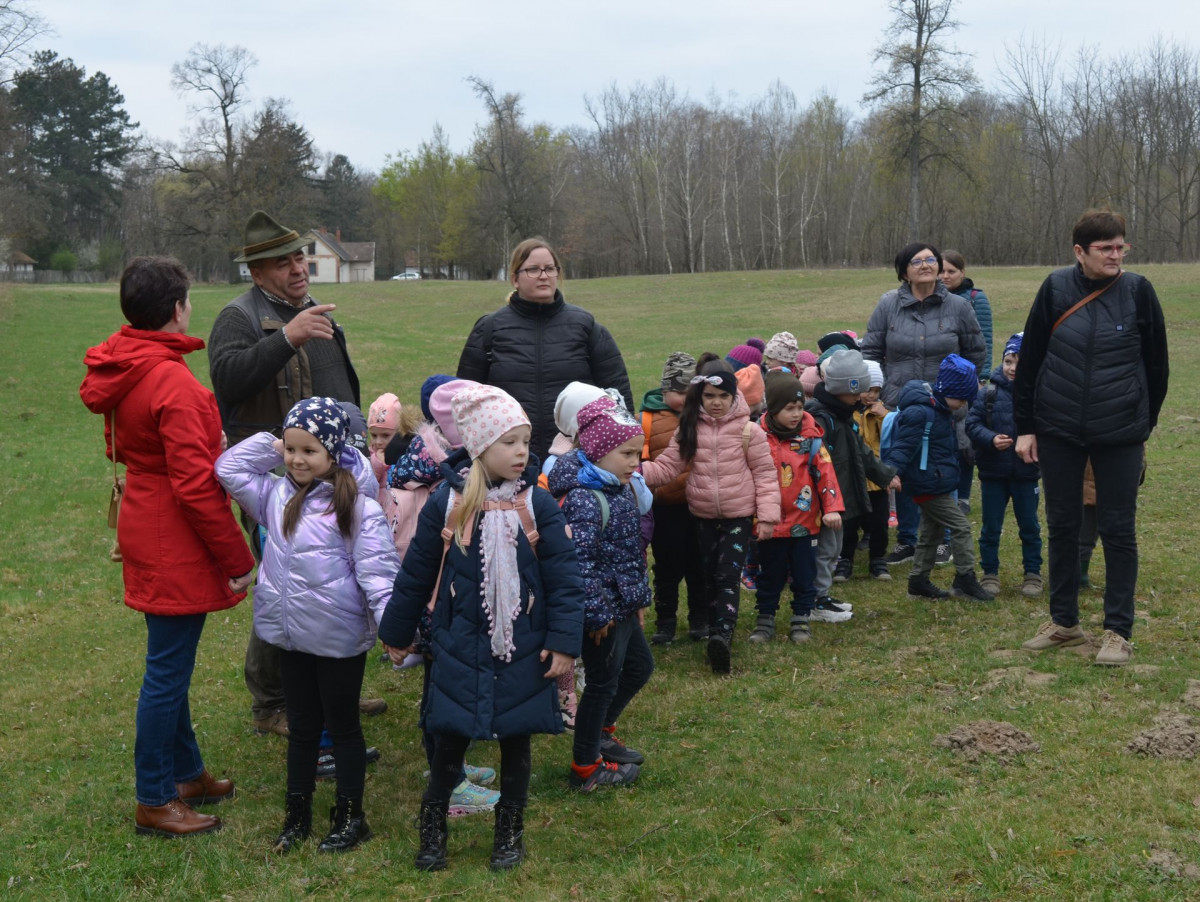 Nyíradonyi óvodások ismerkedtek a Gúthi-erdővel