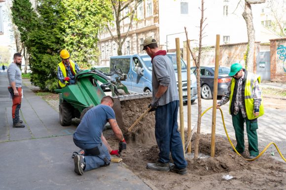 Kizöldül Szegeden a Pusztaszeri utca. Fotó: Botka László hivatalos Facebook oldala