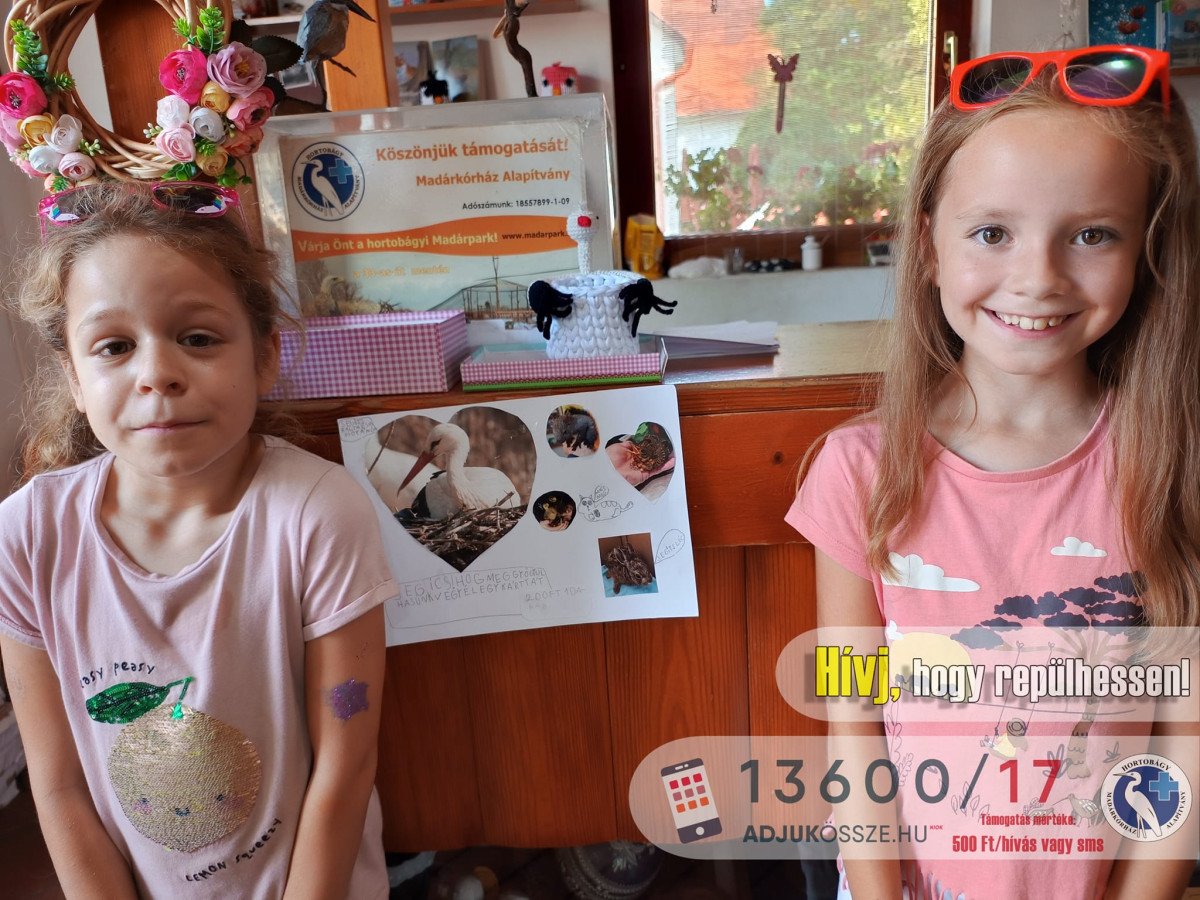 Adománygyűjtést talált ki két kislány a hortobágyi Madárkórháznak