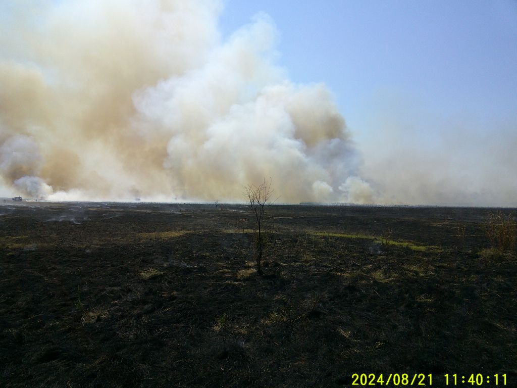 Hét órán át oltották a tüzet a Hortobágyon