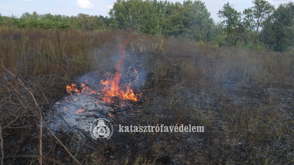 Kigyulladt a bozót Hajdúböszörményben