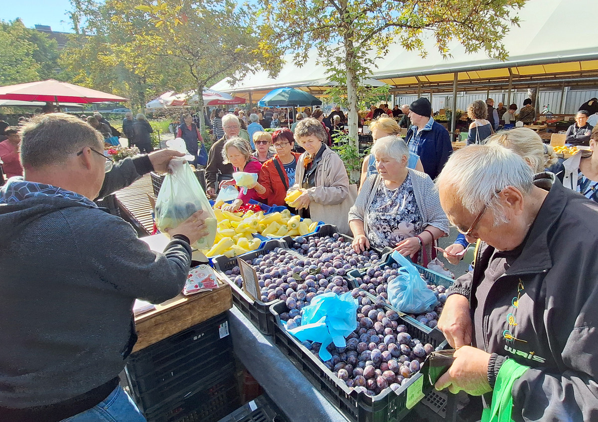 Szeged, Mars téri piac, piac, zöldség, gyümölcs, vásárlás, gazdaság, egészség, szeptember, ősz