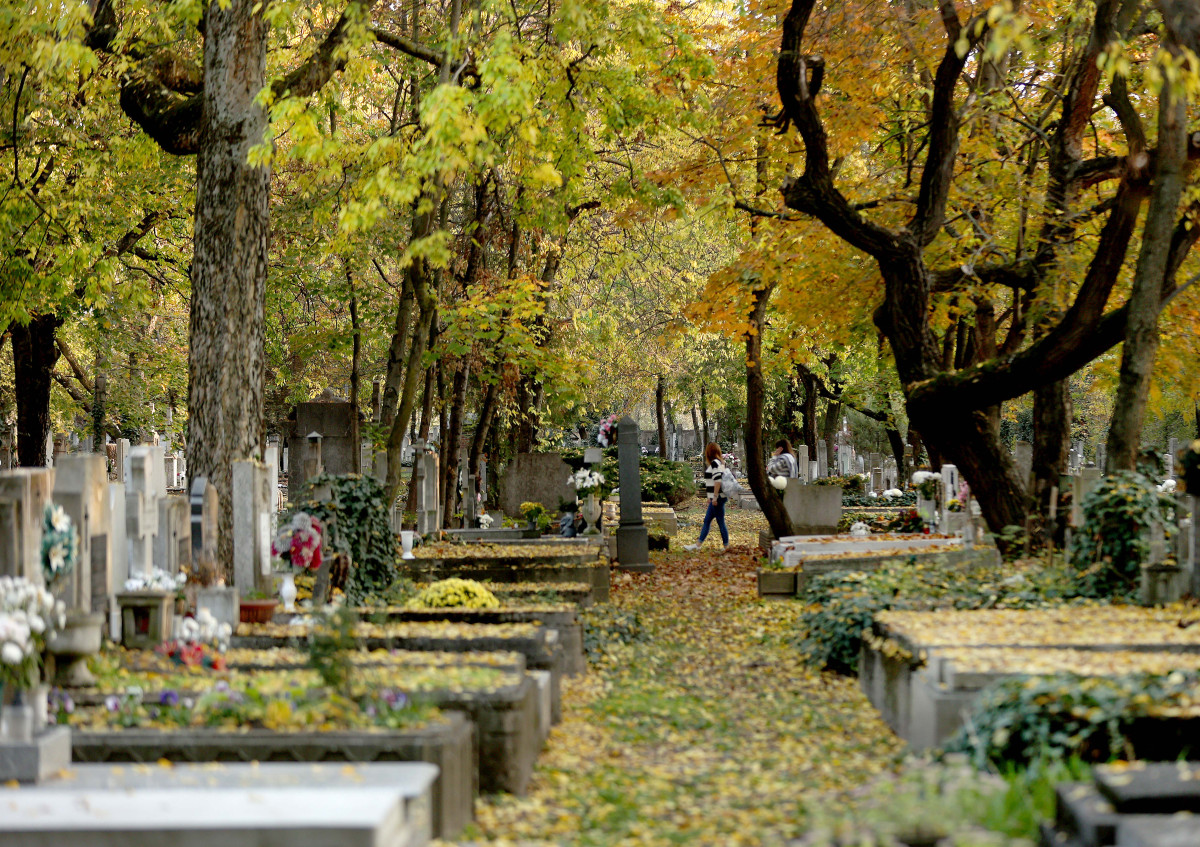 Szeged, temető, Belvárosi temető, Mindenszentek, mécses