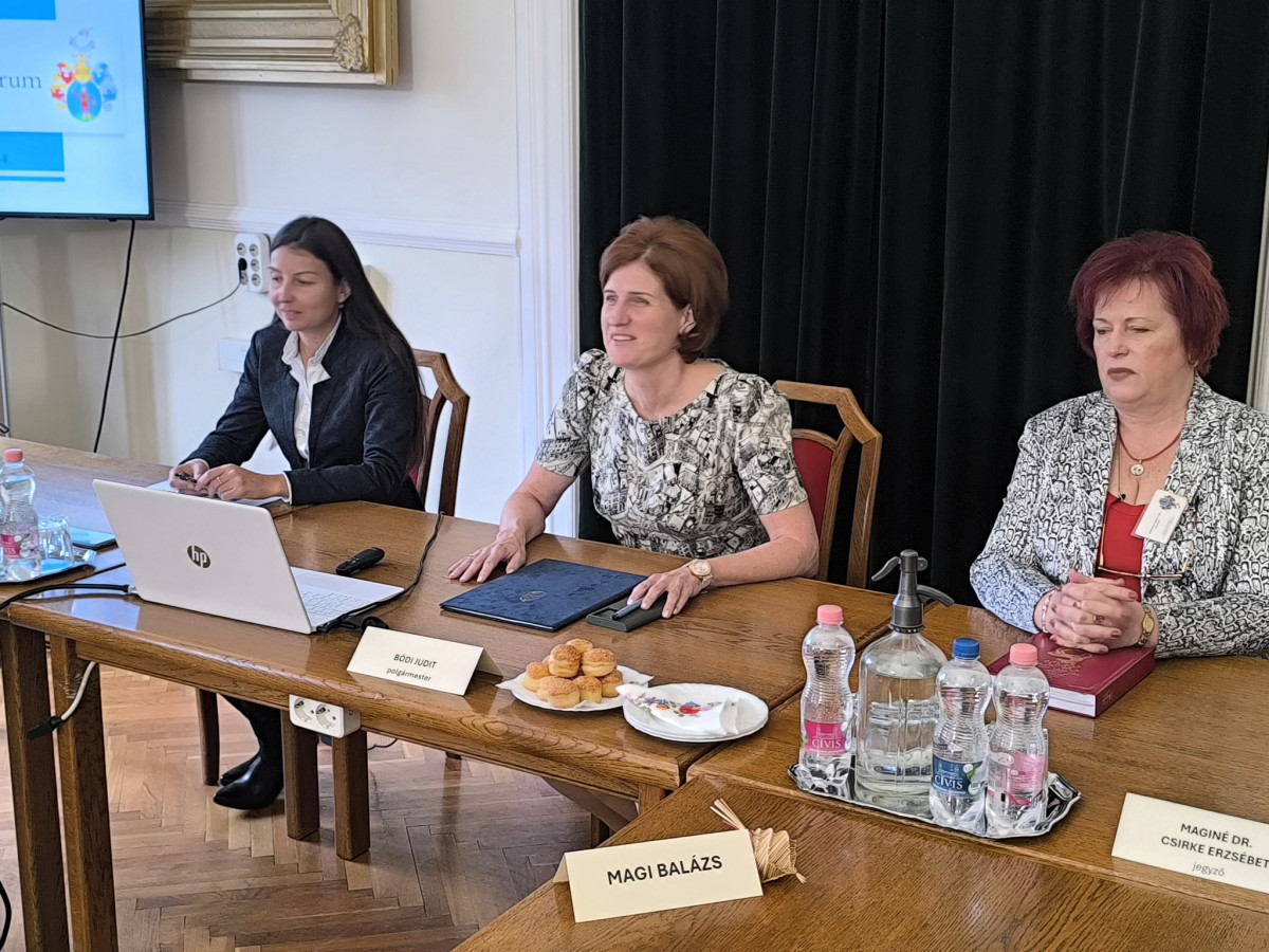 Bódi Judit, Hajdúnánás polgármestere