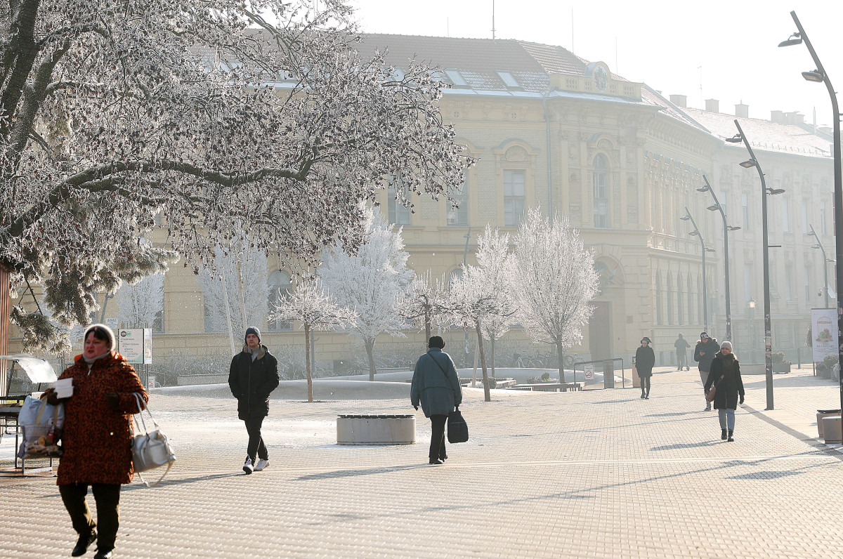 Szeged, zúzmara, tél, időjárás, január, hideg, fagy