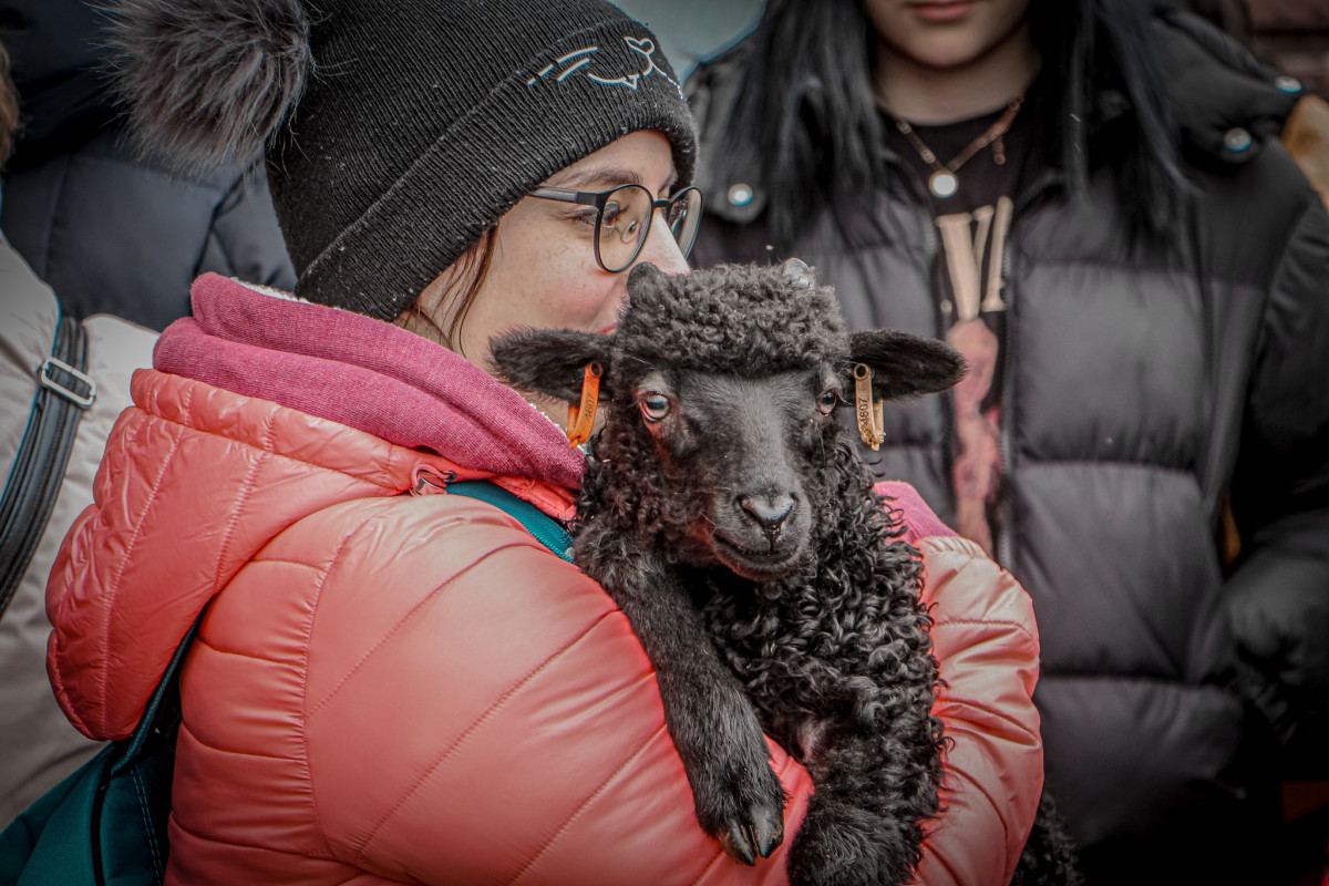 Idén is lesz "Nyitott istállók hétvégéje" a Hortobágyon