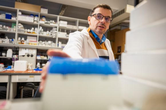 SZTE. Kutatás. Amerika.