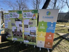 Madárgyűrűzés Debrecenben