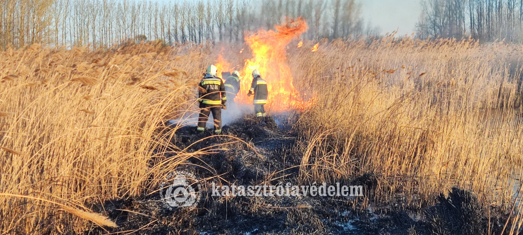 Lángolt a nádas Földesnél