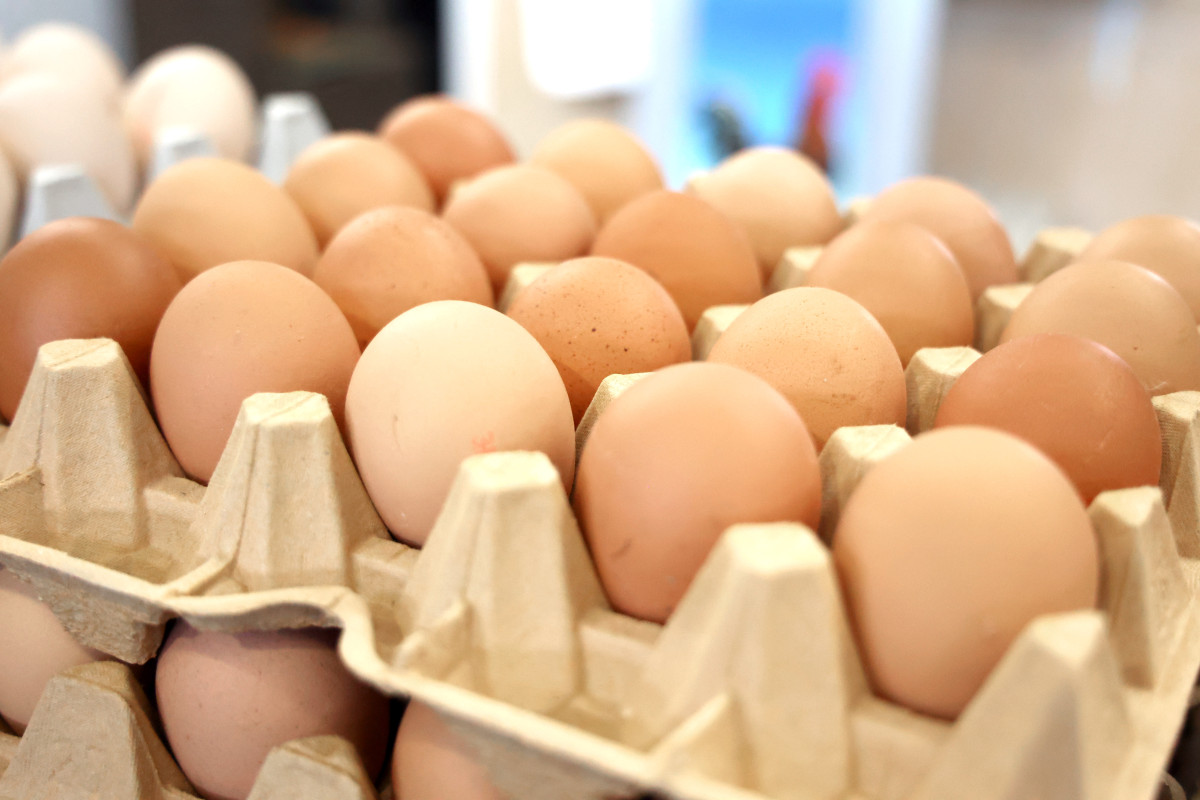 Szeged, húsvét, Mars téri piac, vásárlás, piac, sonka, tojás, zöldség, kalács