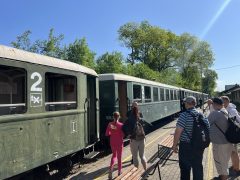 Zsuzsi vasút, vonat Debrecen