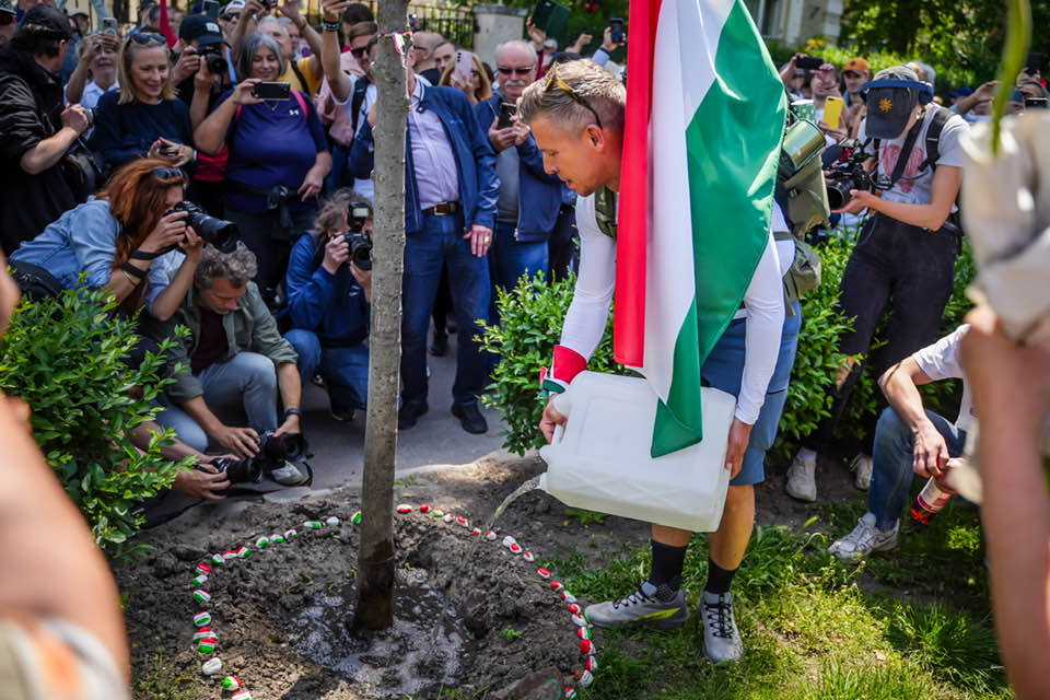 Magyar Péter fát ültet