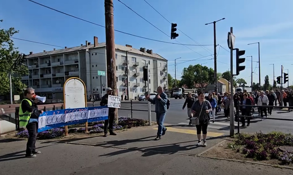 Zebraszerda Debrecenben