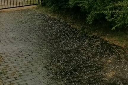 Jégeső Hajdúnánáson