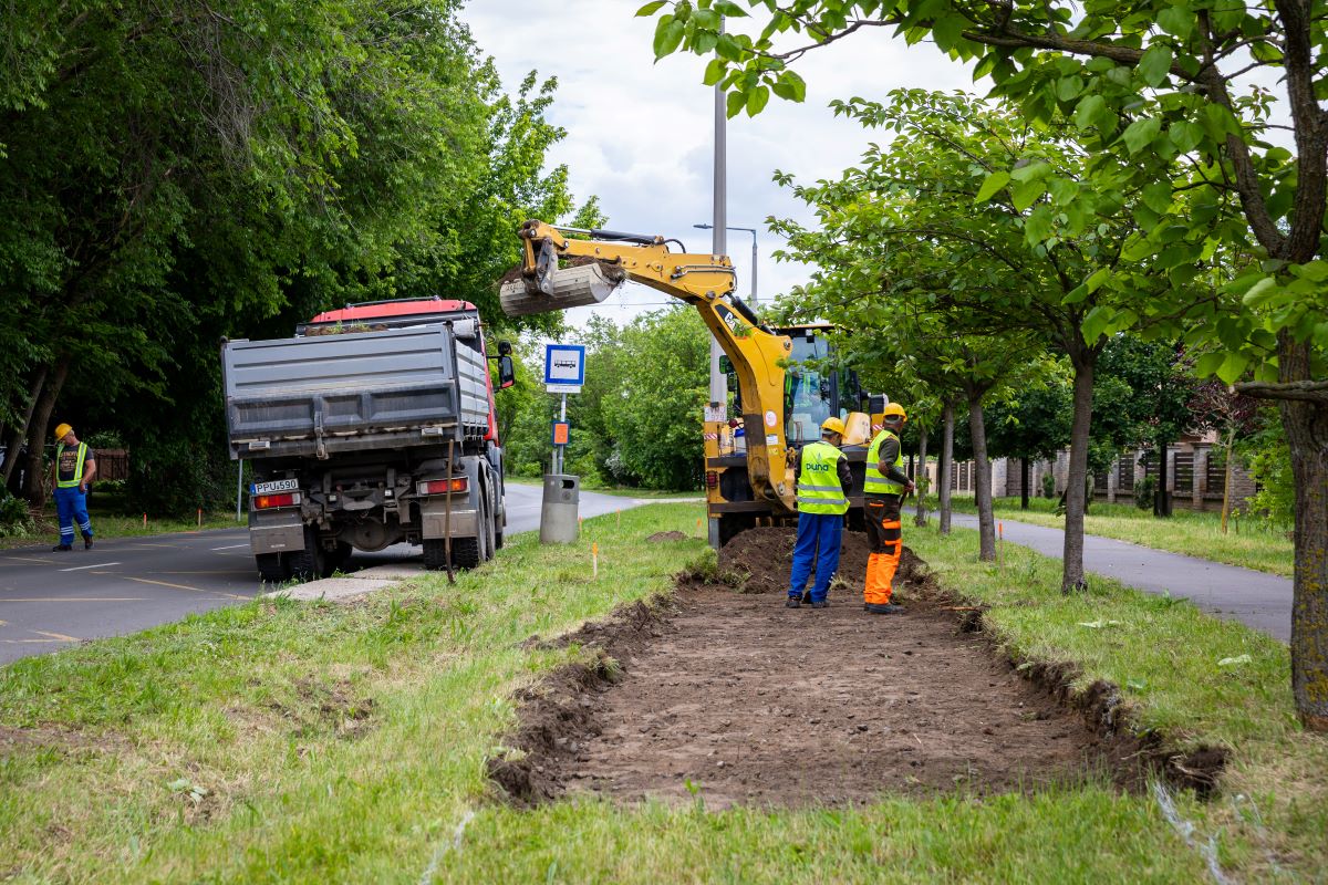 Gyalogos-átkelőhely a Bölcs utca és Csigekert utca kereszteződésében