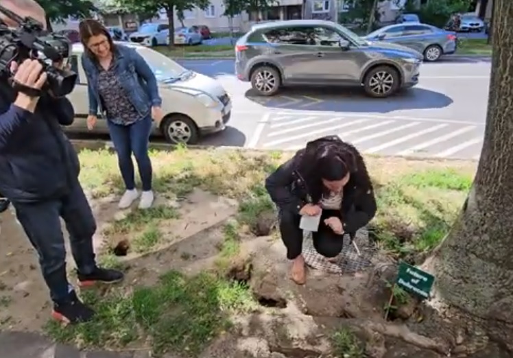 Patkánylyukak Debrecenben, a Csapó utcán