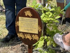 Emlékfát ültettek a Szenvedélyes Juniálison Debrecenben