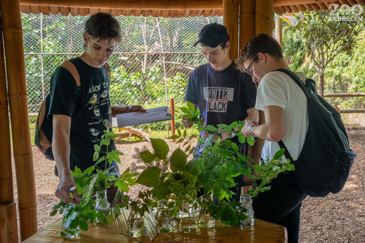 Természetvédelmi Tehetségnapot rendezett a Zoo Debrecen és a Debreceni Egyetem