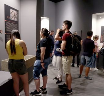 Szeged, Múzeumok Éjszakája, múzeum, Móra Ferenc Múzeum