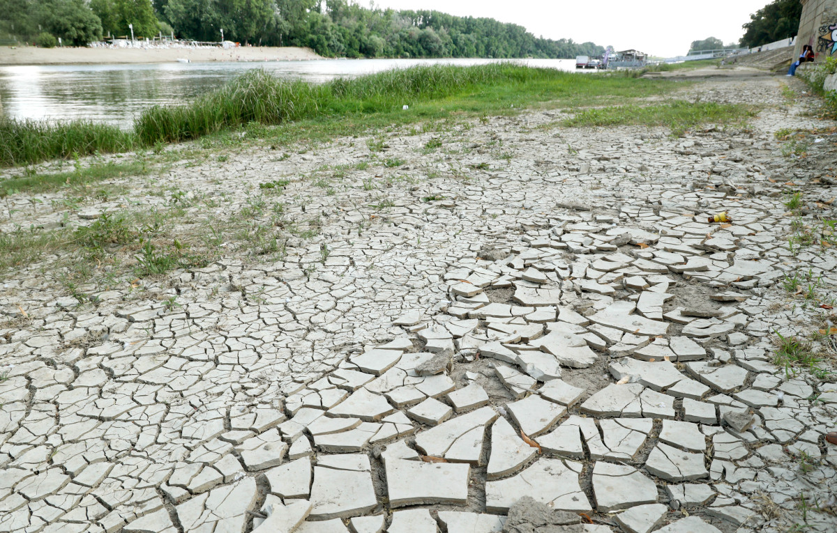 Szeged, 40 fok, nyár, meleg, hőség, kánikula, Tisza part, szárazság, aszály, időjárás