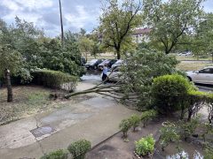 Viharkár Debrecenben