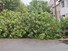 Viharkár Debrecenben